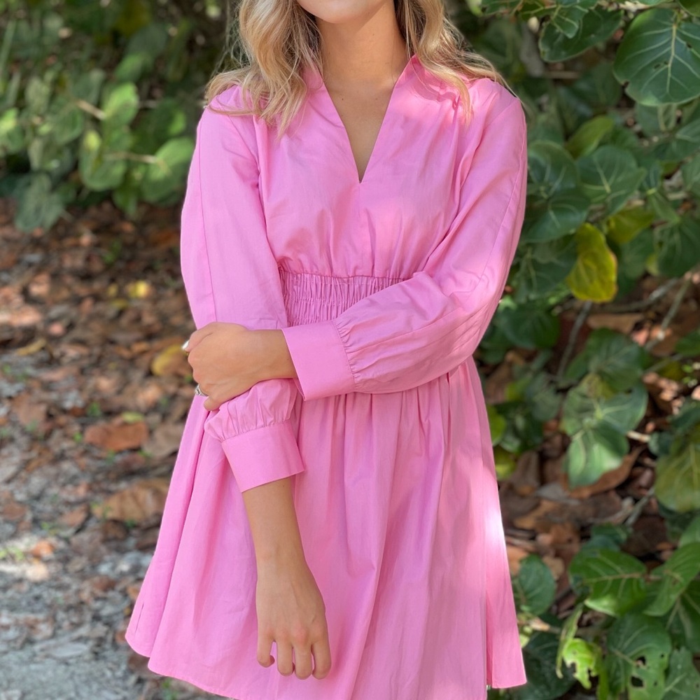 Zara Pink cotton V-Neck Smocked-Waist Mini Dress